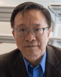 Dr. Gang Bao Ph.D.