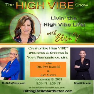 The High Vibe Show with Elisa V: Livin' the High Vibe Life!: High VIBES at Work: Cultivating High VIBE​™ Wellness and Success in Your Professional Life with Jay Matta